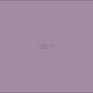 Example Product 881