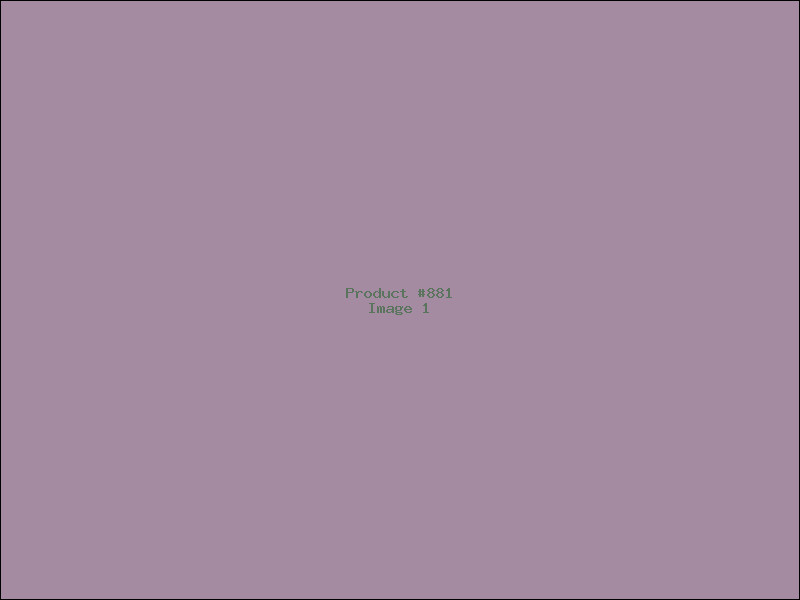 Example Product 881