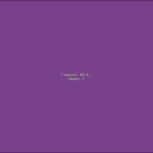 Example Product 8811