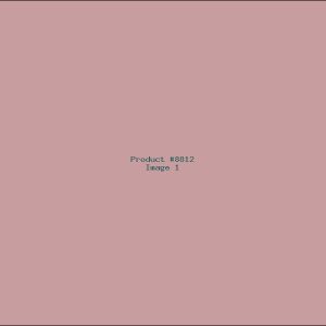 Example Product 8812