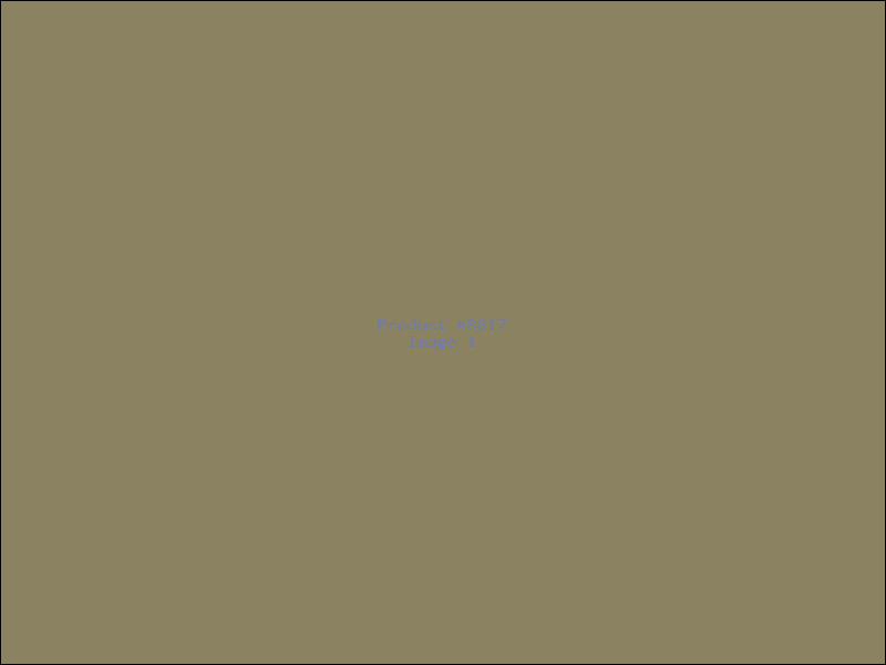 Example Product 8817