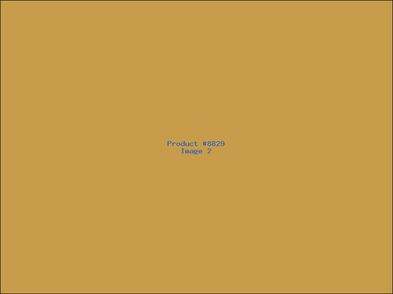Example Product 8829 - Image 2