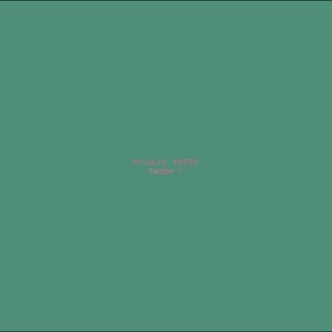Example Product 8834