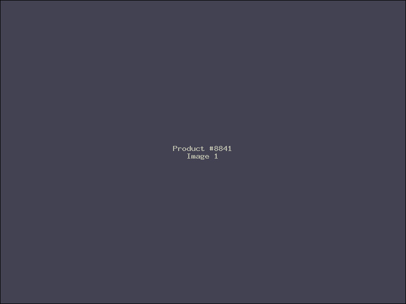 Example Product 8841