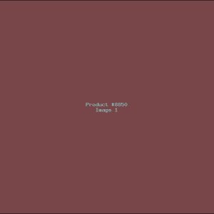 Example Product 8850