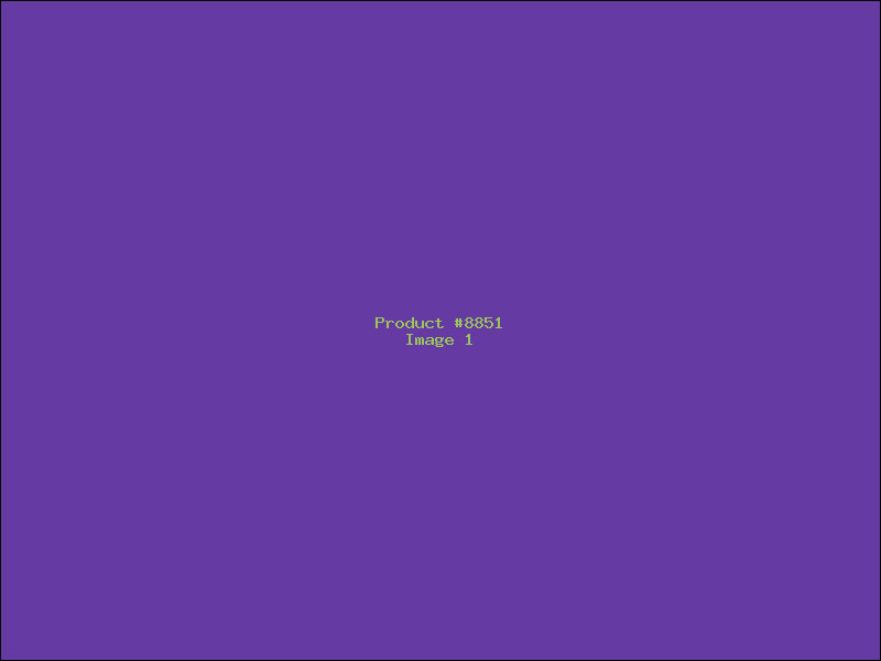 Example Product 8851