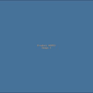 Example Product 8853
