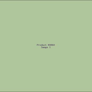 Example Product 8860