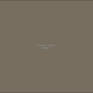 Example Product 8871