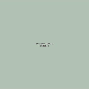 Example Product 8875