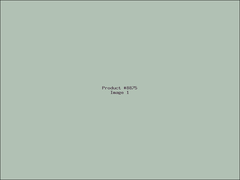 Example Product 8875