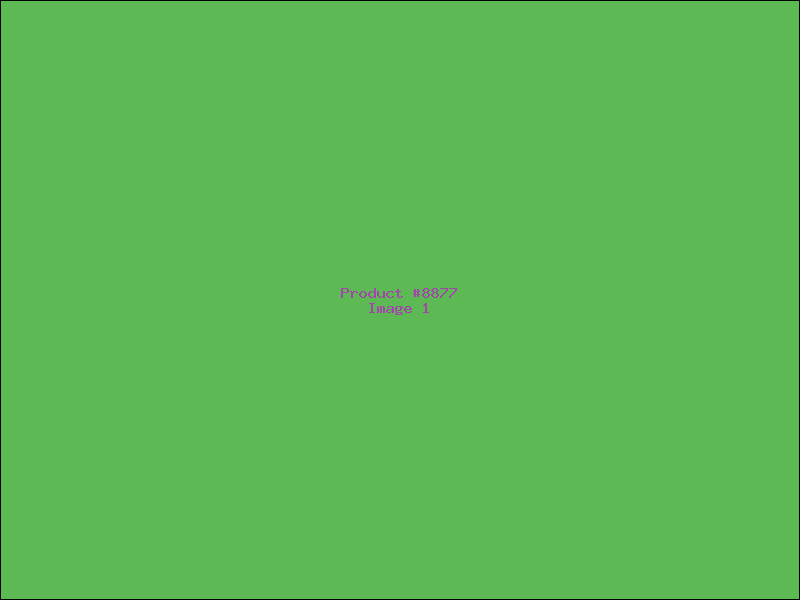 Example Product 8877