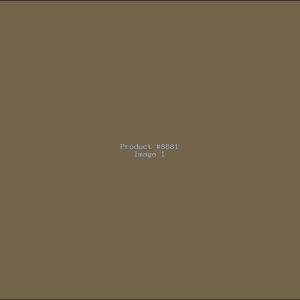 Example Product 8881
