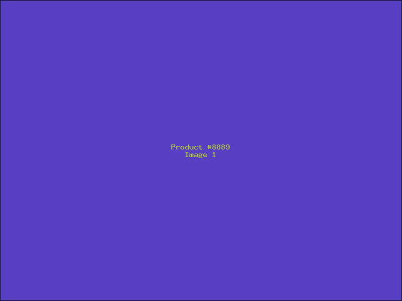 Example Product 8889