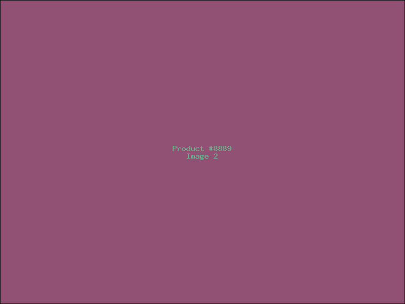 Example Product 8889 - Image 2