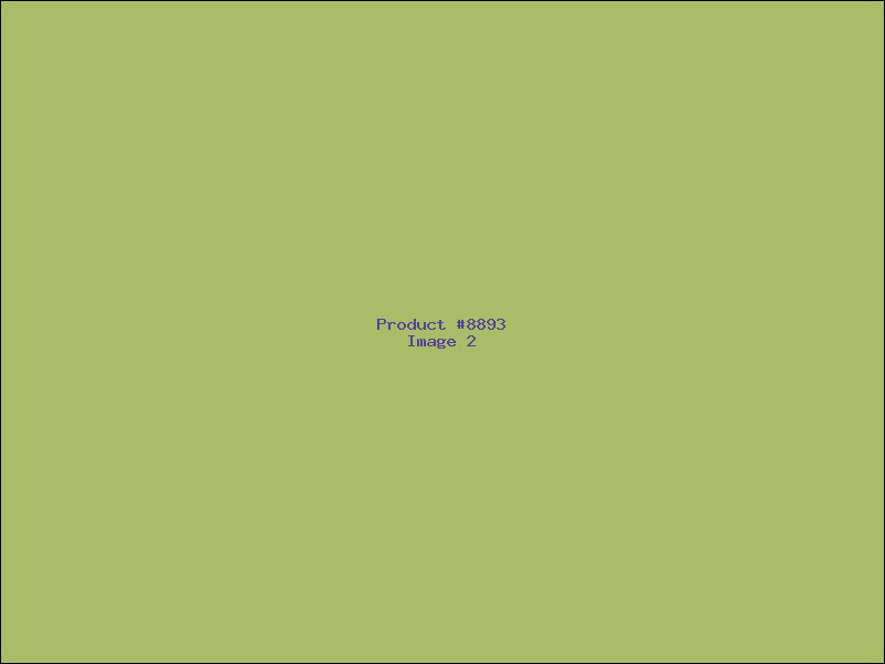 Example Product 8893 - Image 2