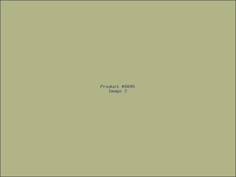 Example Product 8895 - Image 2
