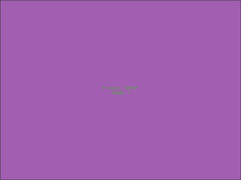 Example Product 8897