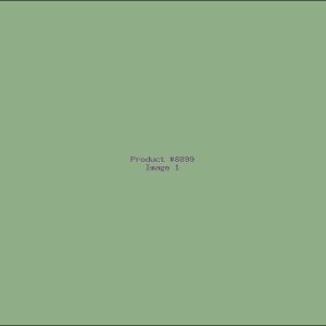 Example Product 8899
