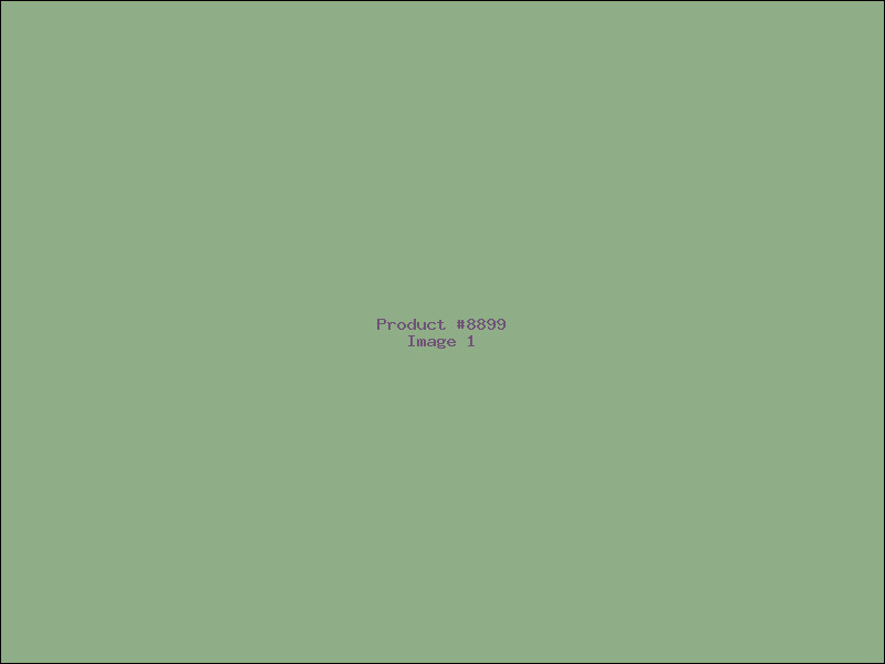 Example Product 8899