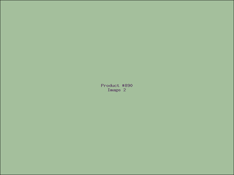 Example Product 890 - Image 2