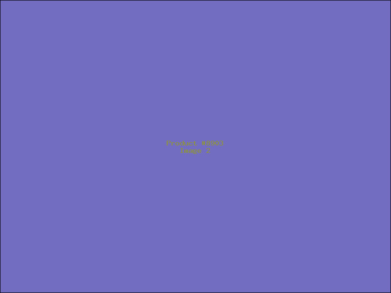 Example Product 8903 - Image 2