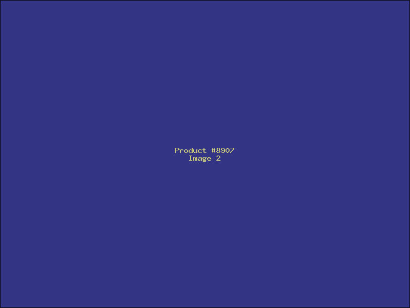 Example Product 8907 - Image 2