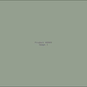 Example Product 8909
