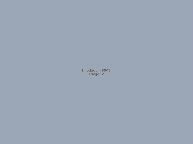 Example Product 8909 - Image 2