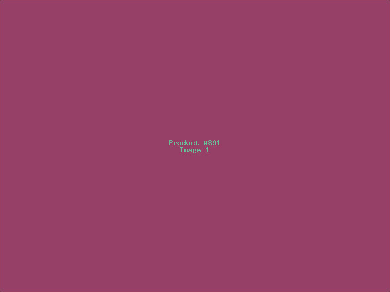 Example Product 891