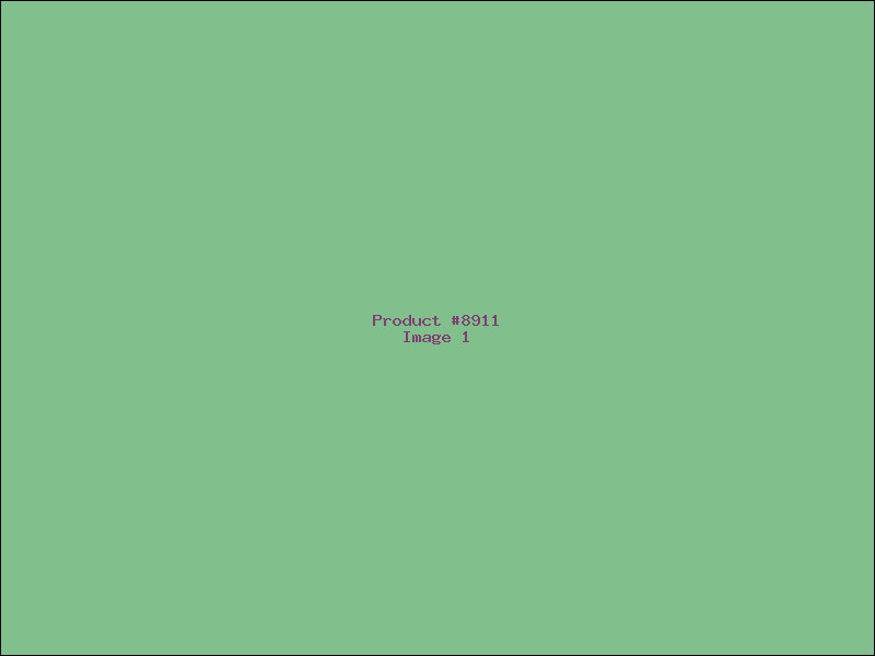 Example Product 8911