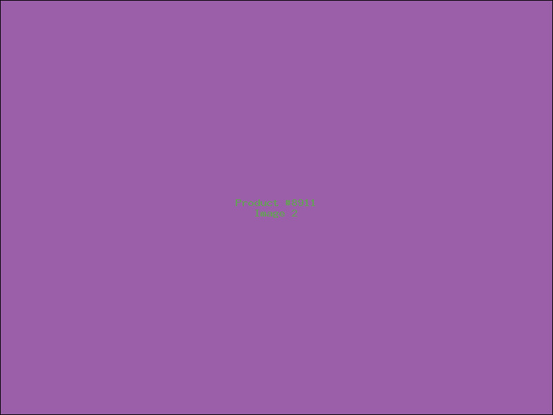 Example Product 8911 - Image 2