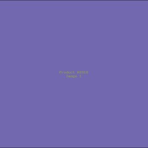 Example Product 8918
