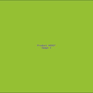 Example Product 8927