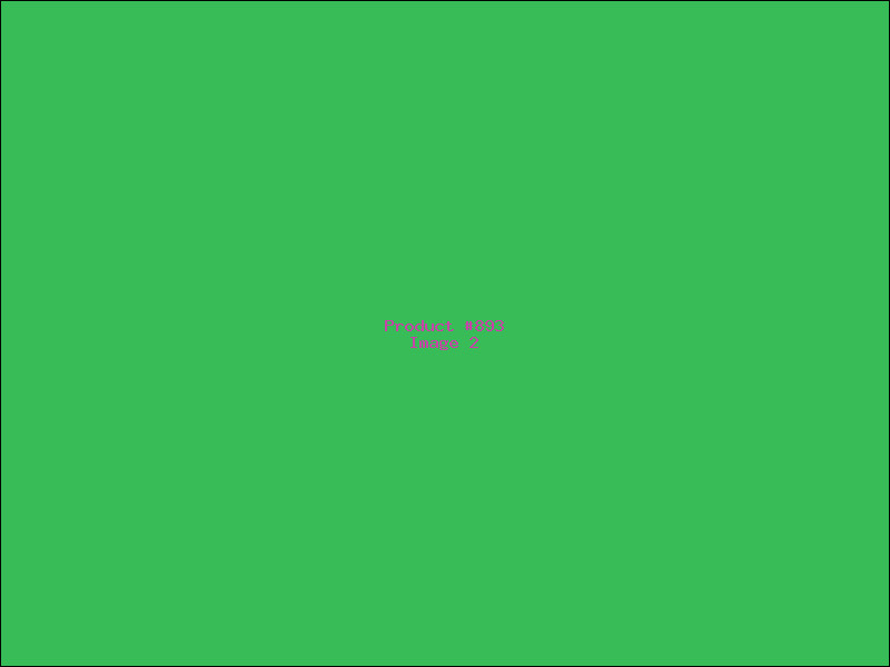 Example Product 893 - Image 2