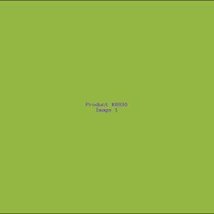 Example Product 8930