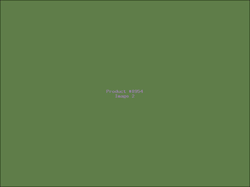 Example Product 8954 - Image 2