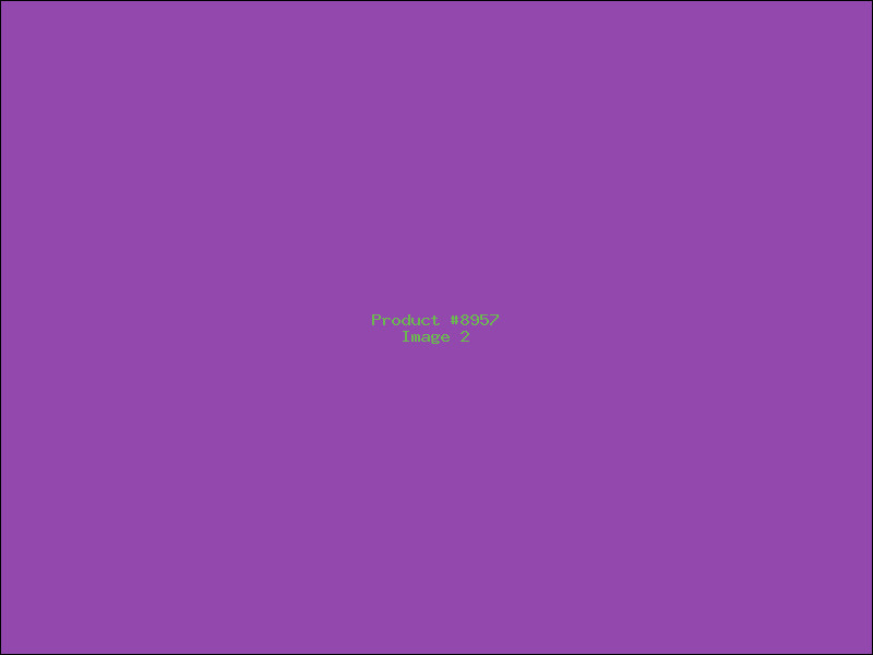 Example Product 8957 - Image 2