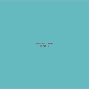 Example Product 8959