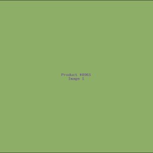 Example Product 8961