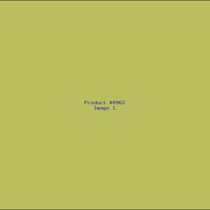 Example Product 8962