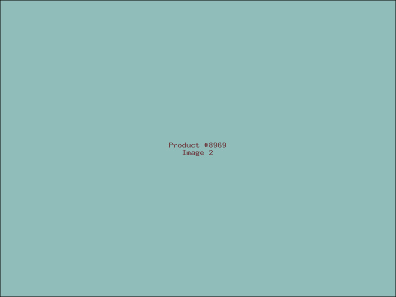 Example Product 8969 - Image 2