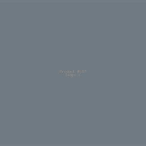 Example Product 897