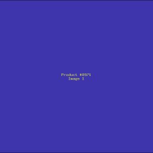 Example Product 8971