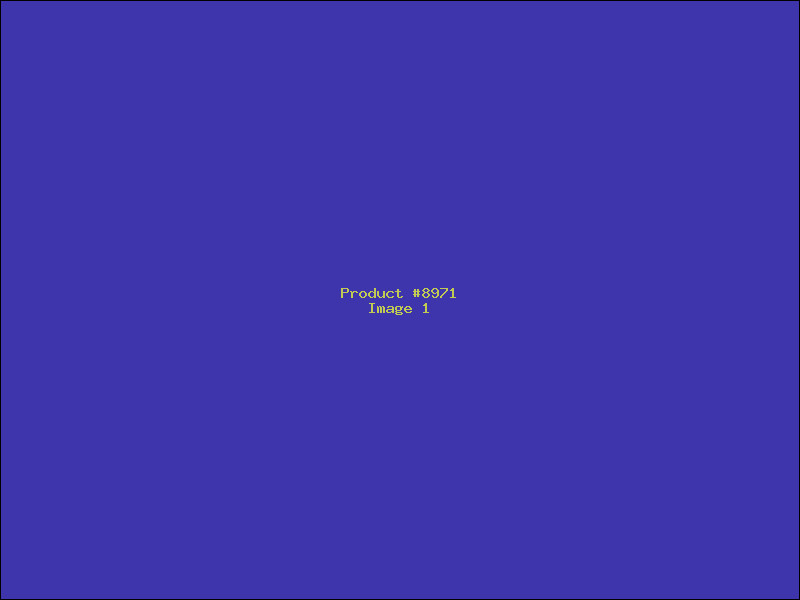 Example Product 8971