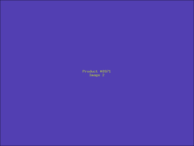 Example Product 8971 - Image 2