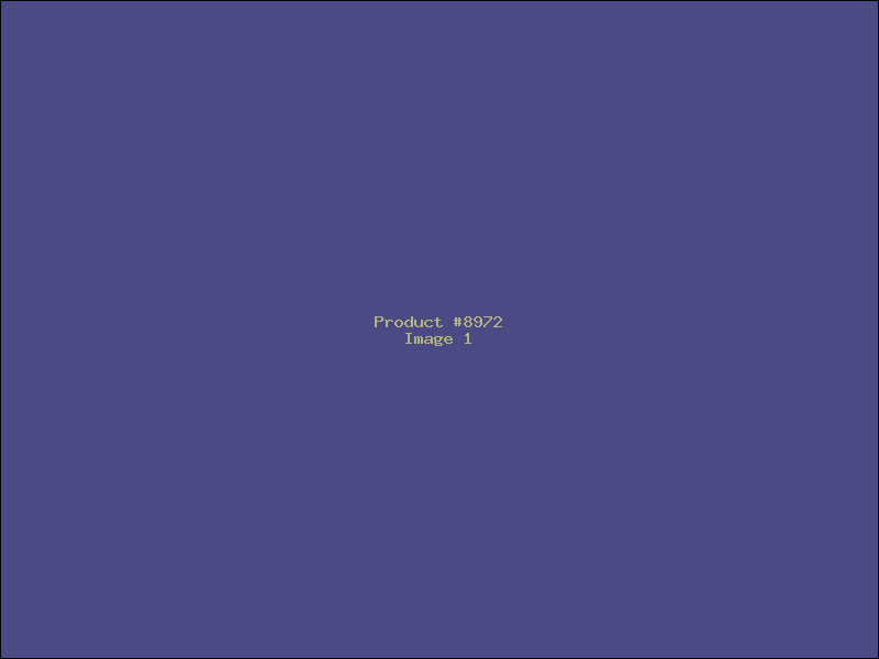 Example Product 8972