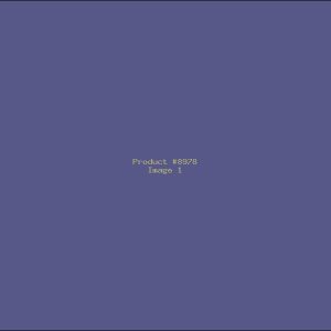 Example Product 8978