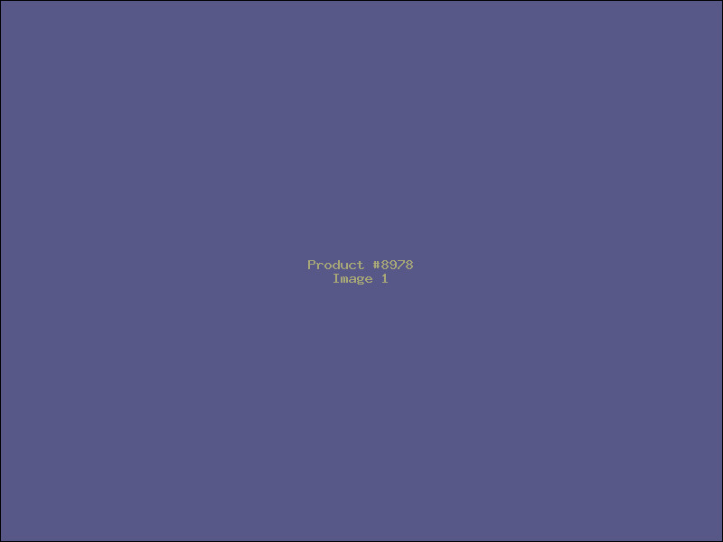 Example Product 8978