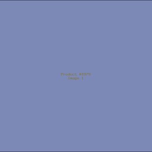 Example Product 8979